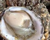 Hình bước làm 1 của món Hàu nấu canh chua