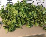 Une image de l'étape 5 de Herbes fraîches au naturel (menthe, coriandre, persil frisé).