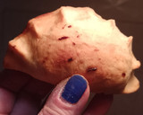 Foto del paso 3 de la receta: Masa vegana de tartas o de empanadas 🌱