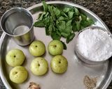 આમળા નું જૂયસ (amla nu Juice Recipe in gujarati) રેસીપી સ્ટેપ1ફોટો