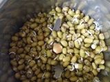 Spicy sprout moong parantha