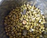 A picture of step 1 of Spicy sprout moong parantha.