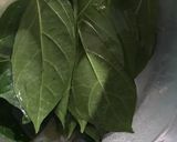 Foto langkah ke 2 dari resep DIY cincau.