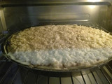 Tarta de coco y dulce de leche