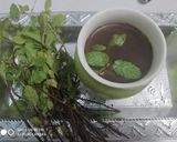 ફુદીના નો ઉકાળો(phudino ukalo recipe in Gujarati) રેસીપી સ્ટેપ3ફોટો