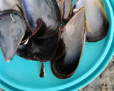 Foto del paso 3 de la receta: Mejillones a la marinera