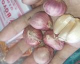 Foto langkah ke 1 dari resep Mi kuah kubis.