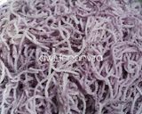 Foto langkah ke 3 dari resep 315. Putu Mayang Bihun Taro.