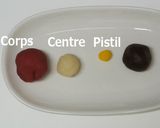 Une image de l'étape 1 de Nerikiri Wagashi: 