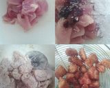 Foto langkah ke 1 dari resep Koloke Ayam / Ayam Kuluyuk / Ayam Tepung Saus Asam Manis (Fried Chicken With Sweet and Sour Sauce).