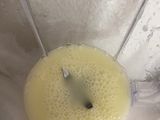 Leche condensada casera