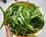 Foto langkah ke 1 dari resep Tumis kangkung.