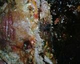 Foto del paso 6 de la receta: Vacío relleno al horno