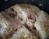 Foto del paso 8 de la receta: Pan integral con frutos secos y masa madre