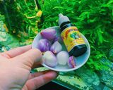 Hình bước làm 3 của món Cá trắm kho thịt ba chỉ & dưa chua 😋