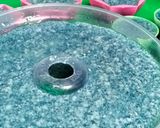 Foto langkah ke 4 dari resep Puding Lumut Bunga Telang.