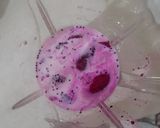 Foto langkah ke 1 dari resep Es Krim Buah Naga.
