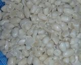 Foto langkah ke 2 dari resep Kacang bawang (kacang tojin).