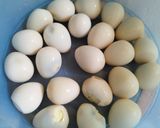 Foto langkah ke 1 dari resep Sate Telur Puyuh Coklat.