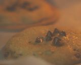 Foto langkah ke 8 dari resep Chocolate Cookies.