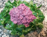 Foto del paso 4 de la receta: Patzarosalata