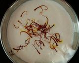 A picture of step 1 of Saffron Lebanese Nommoura.