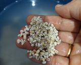 Foto langkah ke 1 dari resep Bubur Jali Jali/Barley.