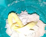 A picture of step 4 of Simple homemade bread.