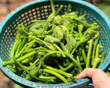 Hình bước làm 1 của món Đọt bí xào tỏi (chay) 🧄