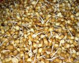 A picture of step 2 of Masala moth beans.
