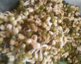 સ્ટફ સ્પ્રાઉટ ઈડલી (Stuffed sprouts idli recipe in gujrati) રેસીપી સ્ટેપ1ફોટો