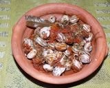 Foto del paso 12 de la receta: Caracoles con salsa