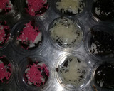 Foto langkah ke 8 dari resep Bronis kukus.