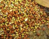 A picture of step 3 of Bhel ussal (mixed sprouts).