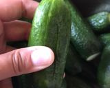Kovászos uborka recept fázis 3 fotója