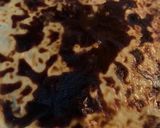 صورة لخطوة 4 من وصفة معكرونه بالجبن والقشطه