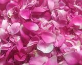 Foto langkah ke 1 dari resep Rose water.