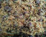 Foto langkah ke 2 dari resep Serundeng Daging Sapi.
