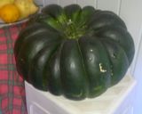 Foto del paso 1 de la receta: Bizcochuelo de zapallo