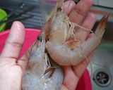 Foto langkah ke 1 dari resep Udang Goreng Tepung.