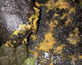 Foto langkah ke 1 dari resep MPASI Pindang ikan patin🤤🤤.