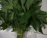 Foto langkah ke 1 dari resep Oblok Oblok Daun Singkong Teri.