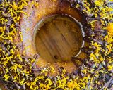 Foto del paso 7 de la receta: BUDÍN MARMOLADO DE 🍊NARANJA🍊 Y 🍫CHOCOLATE🍫 🤩🍊❤️&❤️🍫😋