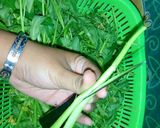 Foto langkah ke 1 dari resep Tumis Kangkung.