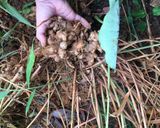 Hình bước làm 3 của món Lẩu thập cẩm