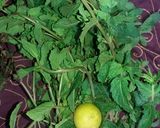 A picture of step 1 of Pudina Sharbat.