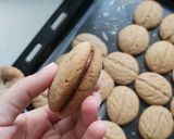 عکس مرحله 7 از دستور کوکی گردویی