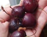 Foto del paso 1 de la receta: Smoothie de arándanos💜
