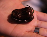 Foto del paso 4 de la receta: Huevo guisado con salsa roja