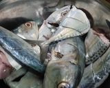 Foto langkah ke 5 dari resep Ikan Kembung Bakar.